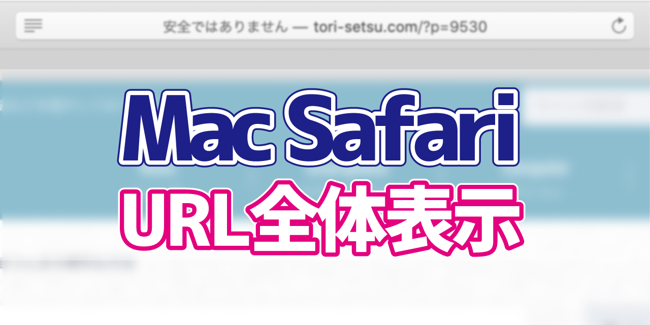 Safari アドレスバーのurlをすべて表示させる方法 デジタルデバイスの取扱説明書 トリセツ